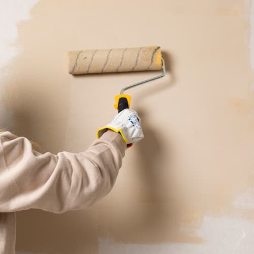 rénovation peinture ts assist
